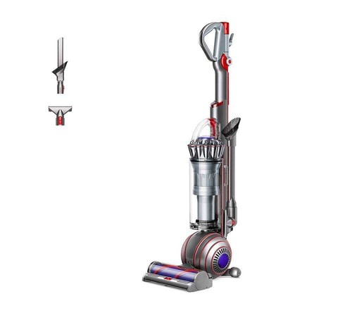 Dyson ball animal - animal, origin